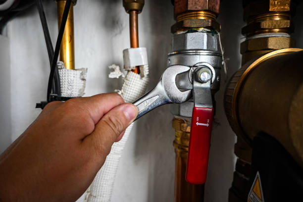 Best Clogged Drain Plumber  in Vidor, TX